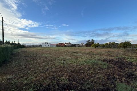 Helårsgrund i Santa Comba Dao, Viseu, Santa Comba Dao - € 49.900 | Ref: SALI0269 - foto 1