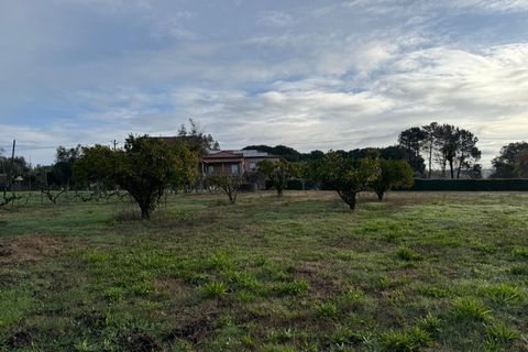 Helårsgrund i Santa Comba Dao, Viseu, Santa Comba Dao - € 49.900 | Ref: SALI0269 - foto 2
