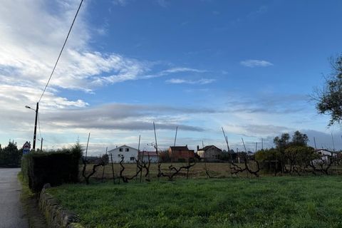 Helårsgrund i Santa Comba Dao, Viseu, Santa Comba Dao - € 49.900 | Ref: SALI0269 - foto 7