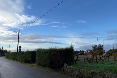 Helårsgrund i Santa Comba Dao, Viseu, Santa Comba Dao - € 49.900 | Ref: SALI0269 - foto 8