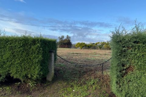 Helårsgrund i Santa Comba Dao, Viseu, Santa Comba Dao - € 49.900 | Ref: SALI0269 - foto 9