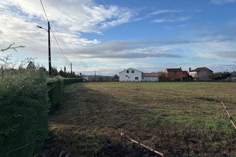Helårsgrund i Santa Comba Dao, Viseu, Santa Comba Dao - € 49.900 | Ref: SALI0269 - foto 11