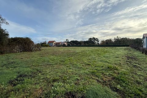 Helårsgrund i Santa Comba Dao, Viseu, Santa Comba Dao - € 49.900 | Ref: SALI0269 - foto 12
