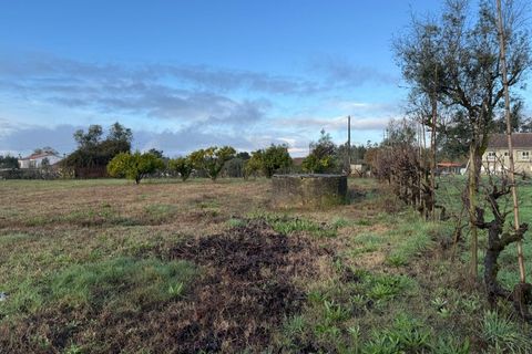 Helårsgrund i Santa Comba Dao, Viseu, Santa Comba Dao - € 49.900 | Ref: SALI0269 - foto 13