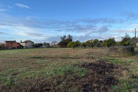 Helårsgrund i Santa Comba Dao, Viseu, Santa Comba Dao - € 49.900 | Ref: SALI0269 - foto 14