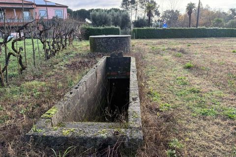 Helårsgrund i Santa Comba Dao, Viseu, Santa Comba Dao - € 49.900 | Ref: SALI0269 - foto 16