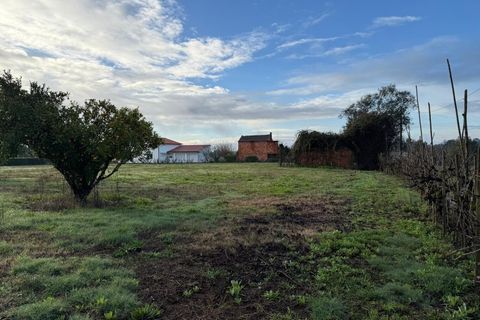 Helårsgrund i Santa Comba Dao, Viseu, Santa Comba Dao - € 49.900 | Ref: SALI0269 - foto 17