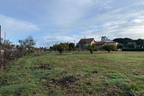 Helårsgrund i Santa Comba Dao, Viseu, Santa Comba Dao - € 49.900 | Ref: SALI0269 - foto 18