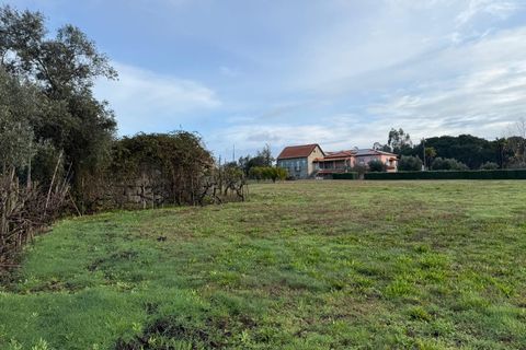Helårsgrund i Santa Comba Dao, Viseu, Santa Comba Dao - € 49.900 | Ref: SALI0269 - foto 19