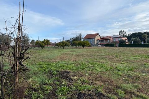 Helårsgrund i Santa Comba Dao, Viseu, Santa Comba Dao - € 49.900 | Ref: SALI0269 - foto 20