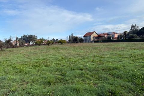 Helårsgrund i Santa Comba Dao, Viseu, Santa Comba Dao - € 49.900 | Ref: SALI0269 - foto 21