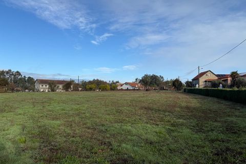 Helårsgrund i Santa Comba Dao, Viseu, Santa Comba Dao - € 49.900 | Ref: SALI0269 - foto 22