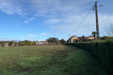 Helårsgrund i Santa Comba Dao, Viseu, Santa Comba Dao - € 49.900 | Ref: SALI0269 - foto 23