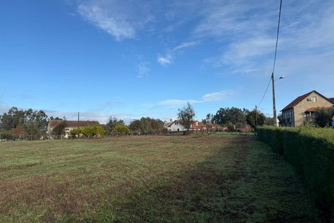 Helårsgrund i Santa Comba Dao, Viseu, Santa Comba Dao - € 49.900 | Ref: SALI0269 - foto 25