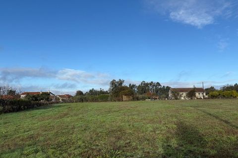 Helårsgrund i Santa Comba Dao, Viseu, Santa Comba Dao - € 49.900 | Ref: SALI0269 - foto 26