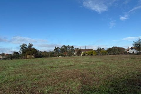 Helårsgrund i Santa Comba Dao, Viseu, Santa Comba Dao - € 49.900 | Ref: SALI0269 - foto 27