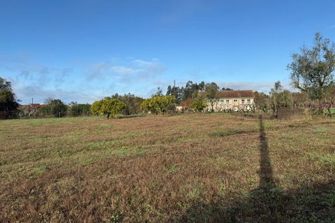Helårsgrund i Santa Comba Dao, Viseu, Santa Comba Dao - € 49.900 | Ref: SALI0269 - foto 28