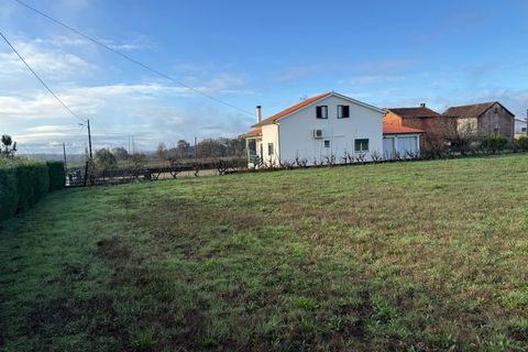Helårsgrund i Santa Comba Dao, Viseu, Santa Comba Dao - € 49.900 | Ref: SALI0269 - foto 29