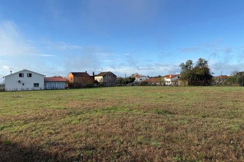 Helårsgrund i Santa Comba Dao, Viseu, Santa Comba Dao - € 49.900 | Ref: SALI0269 - foto 30