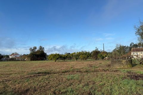 Helårsgrund i Santa Comba Dao, Viseu, Santa Comba Dao - € 49.900 | Ref: SALI0269 - foto 31
