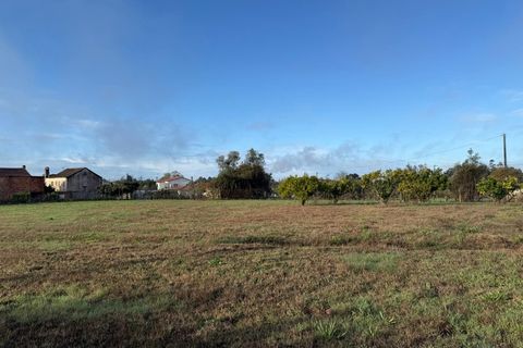 Helårsgrund i Santa Comba Dao, Viseu, Santa Comba Dao - € 49.900 | Ref: SALI0269 - foto 32