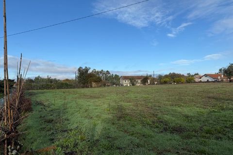 Helårsgrund i Santa Comba Dao, Viseu, Santa Comba Dao - € 49.900 | Ref: SALI0269 - foto 33