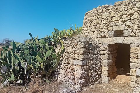 Terra a Alliste, Lecce, Alliste - € 68.000 | Ref: 20 - foto 3