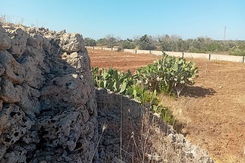 Terra a Alliste, Lecce, Alliste - € 68.000 | Ref: 20 - foto 8
