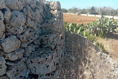 Terra a Alliste, Lecce, Alliste - € 68.000 | Ref: 20 - foto 9