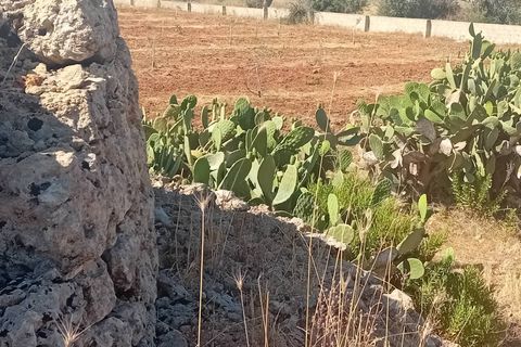 Terra a Alliste, Lecce, Alliste - € 68.000 | Ref: 20 - foto 10