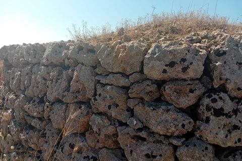 Terra a Alliste, Lecce, Alliste - € 68.000 | Ref: 20 - foto 11