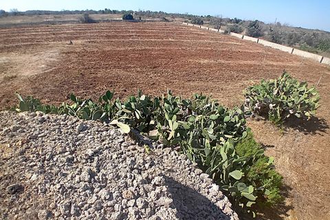 Terra a Alliste, Lecce, Alliste - € 68.000 | Ref: 20 - foto 12