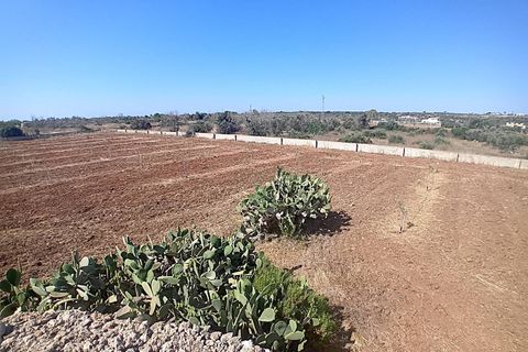 Terra a Alliste, Lecce, Alliste - € 68.000 | Ref: 20 - foto 14