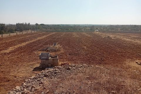 Terra a Alliste, Lecce, Alliste - € 68.000 | Ref: 20 - foto 15