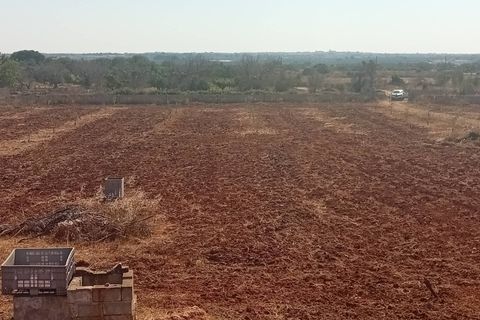 Terra a Alliste, Lecce, Alliste - € 68.000 | Ref: 20 - foto 16