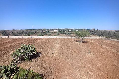 Terra a Alliste, Lecce, Alliste - € 68.000 | Ref: 20 - foto 17