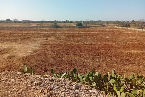 Terra a Alliste, Lecce, Alliste - € 68.000 | Ref: 20 - foto 18