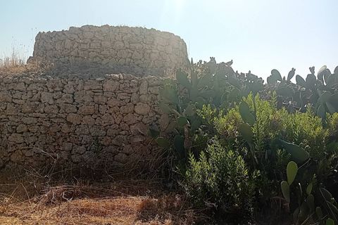 Terra a Alliste, Lecce, Alliste - € 68.000 | Ref: 20 - foto 21