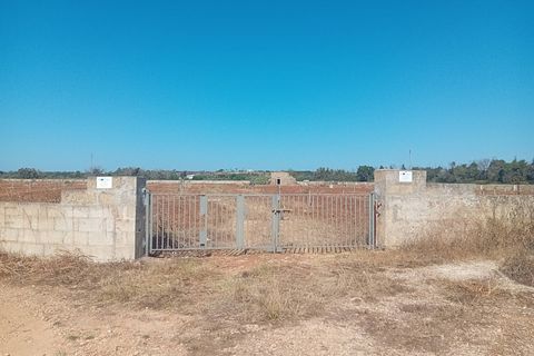 Terra a Alliste, Lecce, Alliste - € 68.000 | Ref: 20 - foto 22