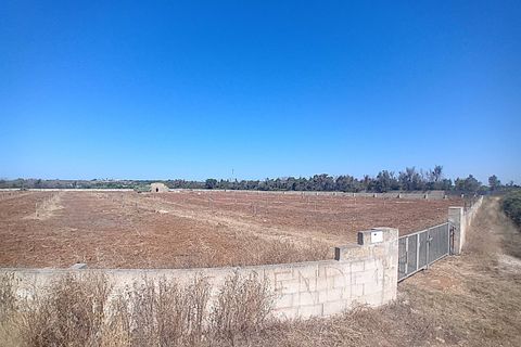 Terra a Alliste, Lecce, Alliste - € 68.000 | Ref: 20 - foto 24