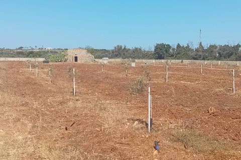 Terra a Alliste, Lecce, Alliste - € 68.000 | Ref: 20 - foto 25