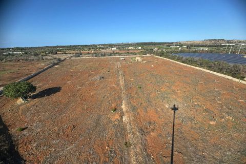 Terra a Alliste, Lecce, Alliste - € 68.000 | Ref: 20 - foto 26