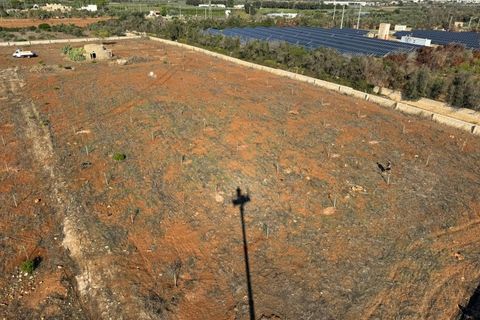 Terra a Alliste, Lecce, Alliste - € 68.000 | Ref: 20 - foto 27
