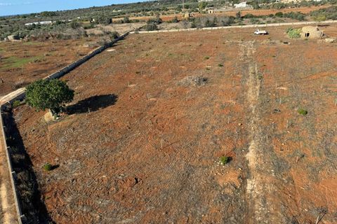 Terra a Alliste, Lecce, Alliste - € 68.000 | Ref: 20 - foto 28