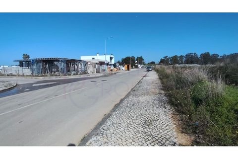 Villa i Quinta do Anjo, Setubal, Quinta do Anjo - € 600.000 | Ref: 103 - foto 16