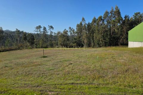 Helårsgrund i Soure, Coimbra, Soure - € 35.000 | Ref: C0381-00853 - foto 1