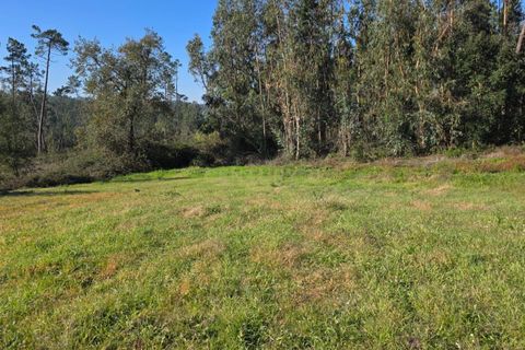 Helårsgrund i Soure, Coimbra, Soure - € 35.000 | Ref: C0381-00853 - foto 8