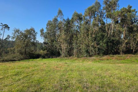 Helårsgrund i Soure, Coimbra, Soure - € 35.000 | Ref: C0381-00853 - foto 9