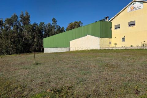 Helårsgrund i Soure, Coimbra, Soure - € 35.000 | Ref: C0381-00853 - foto 11