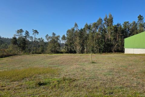Helårsgrund i Soure, Coimbra, Soure - € 35.000 | Ref: C0381-00853 - foto 13